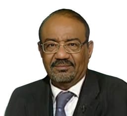 نبيل عبد الفتاح