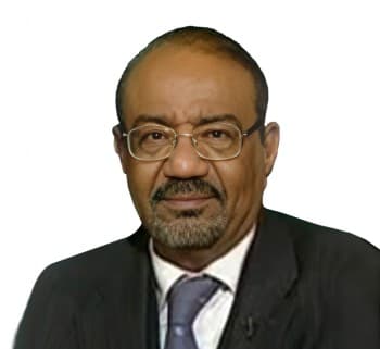 نبيل عبد الفتاح صورة