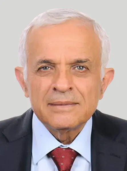 رضوان السيد صورة